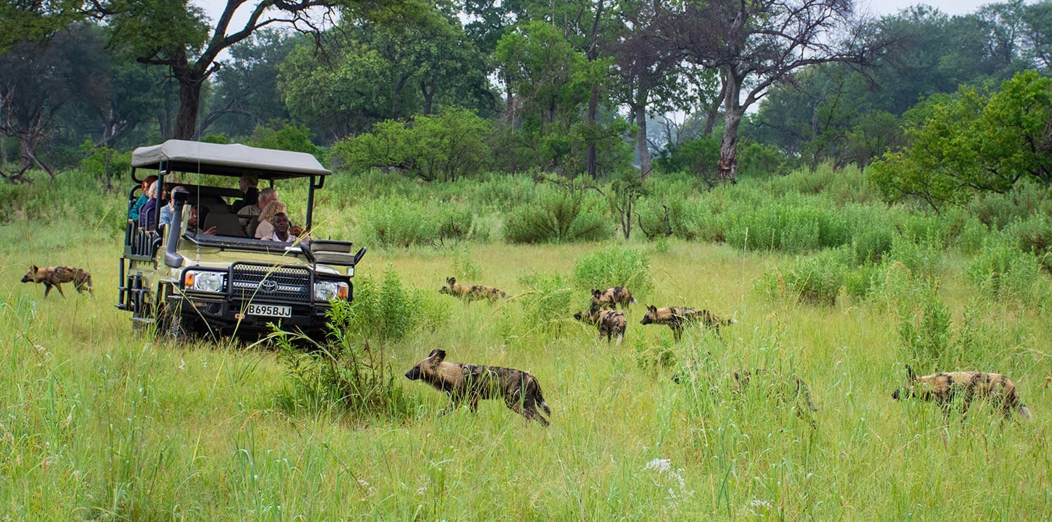 Unable to load image